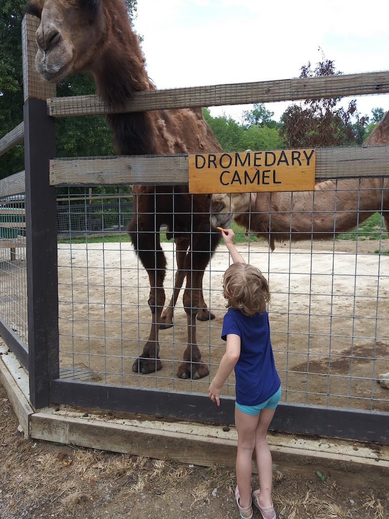Smoky Mountain Deer Farm and Exotic Petting Zoo photo 4