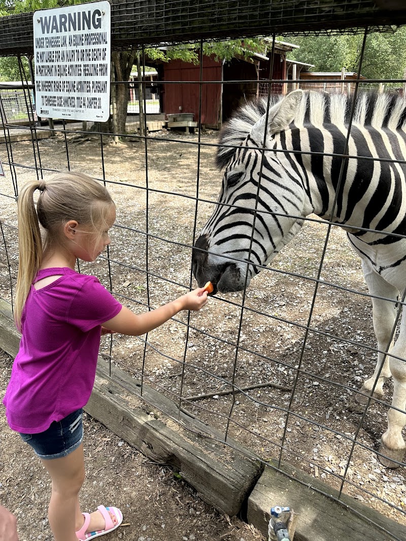 Smoky Mountain Deer Farm and Exotic Petting Zoo photo 3