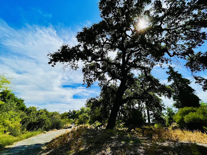 Eric E. Conn acacia grove photo 2