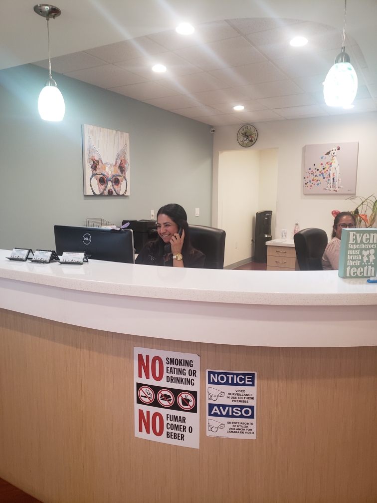 East Bay Children's Dentistry photo 3