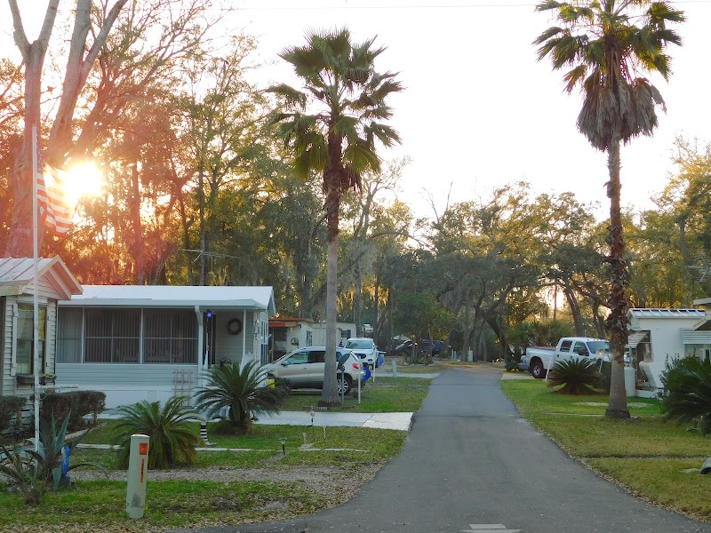 Blue Parrot RV Resort photo 3