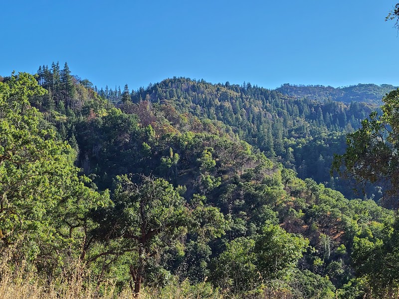Skaggs Springs Vista Trailhead photo 4