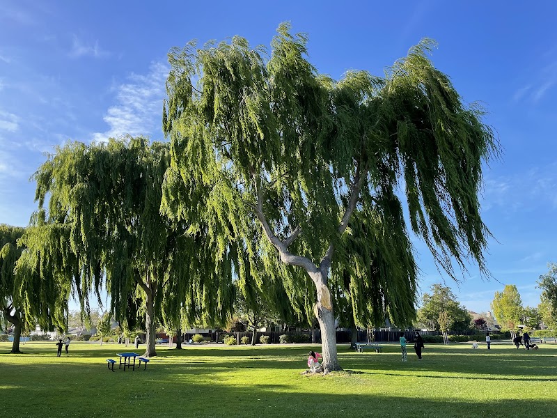 Photo of Farragut Park