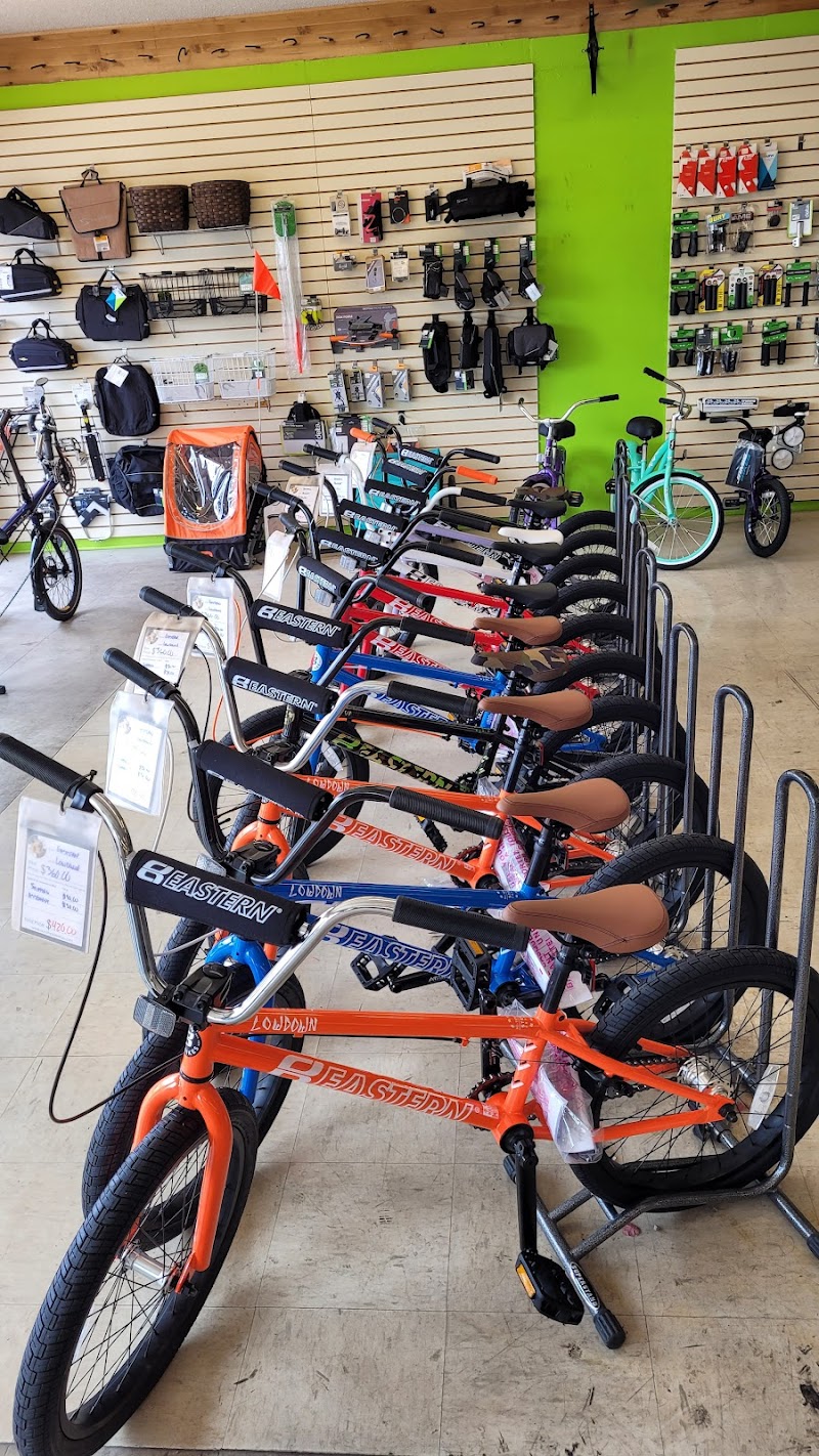 Round Trip Bike Shop photo 5