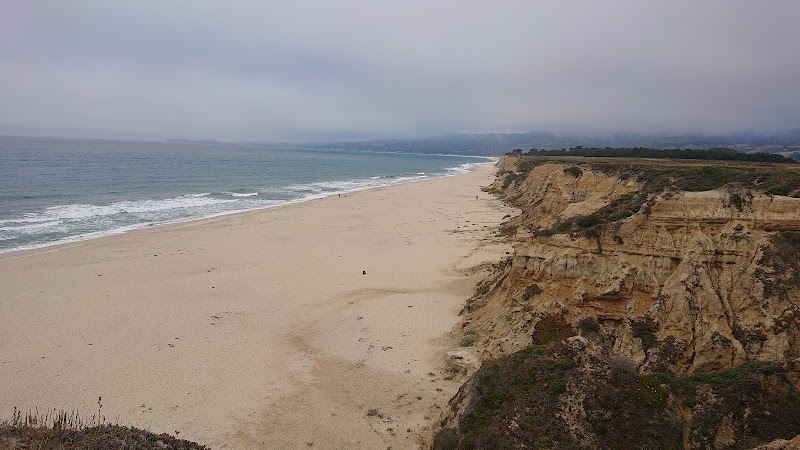 Photo of Wavecrest Beach