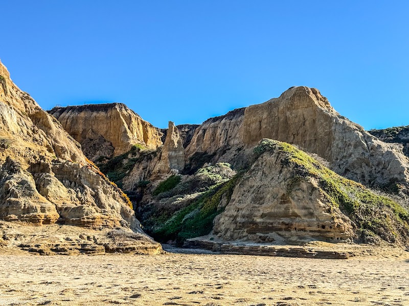 Wavecrest Beach photo 5