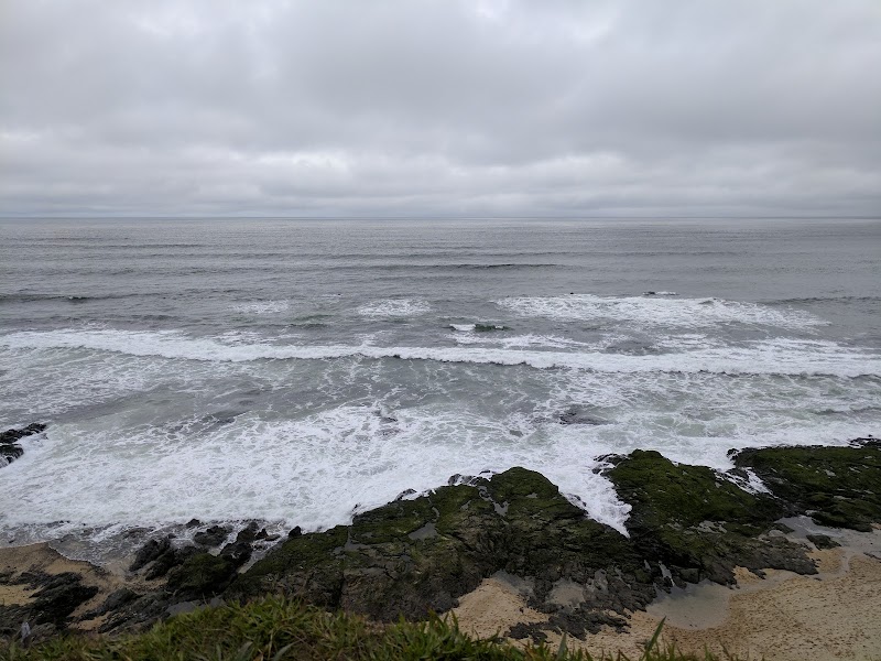 Wavecrest Beach photo 4
