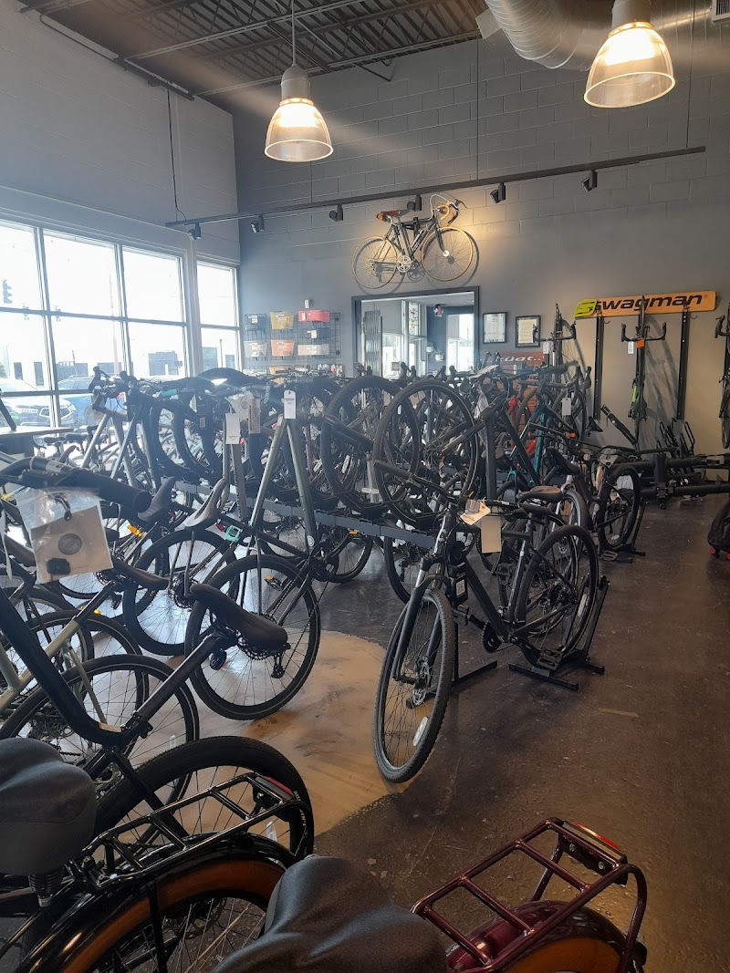 Polk Cycles photo 4