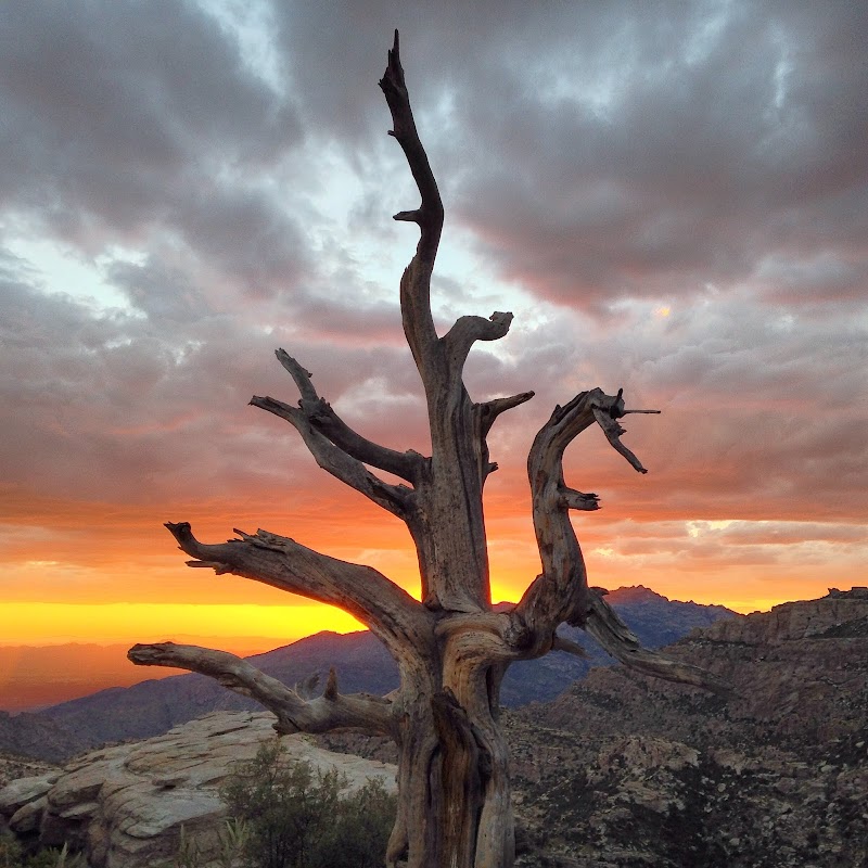 Windy Point Vista photo 4