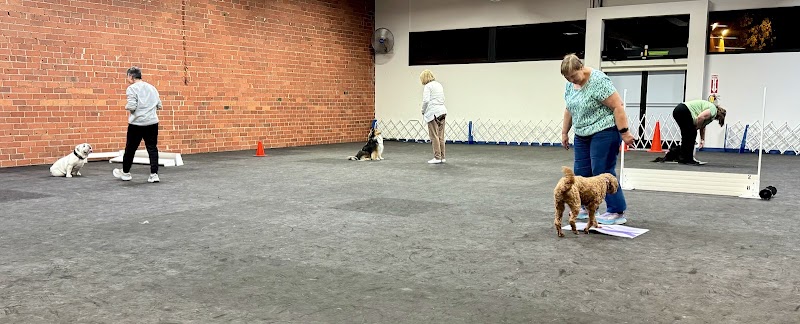 Mt Diablo Dog Training Club photo 3