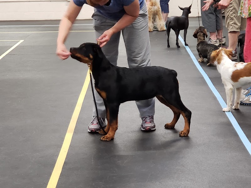 Photo of Mt Diablo Dog Training Club