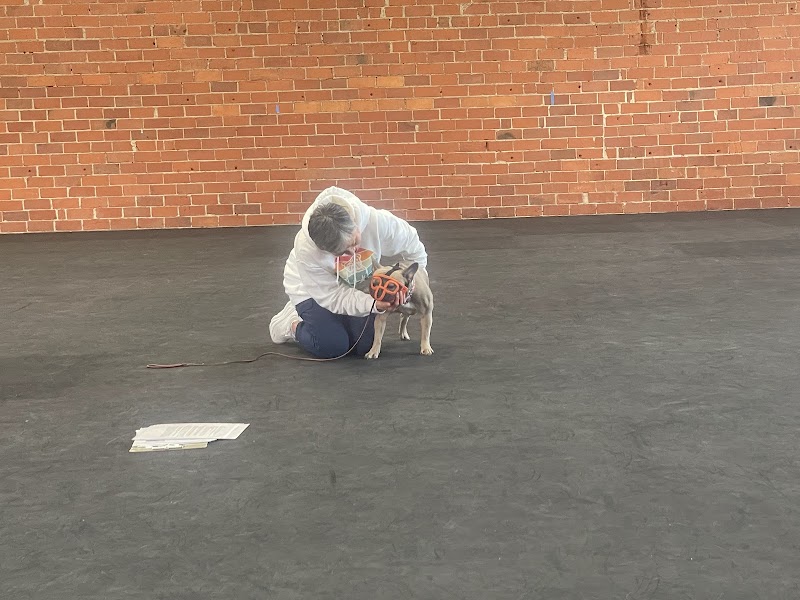 Mt Diablo Dog Training Club photo 5