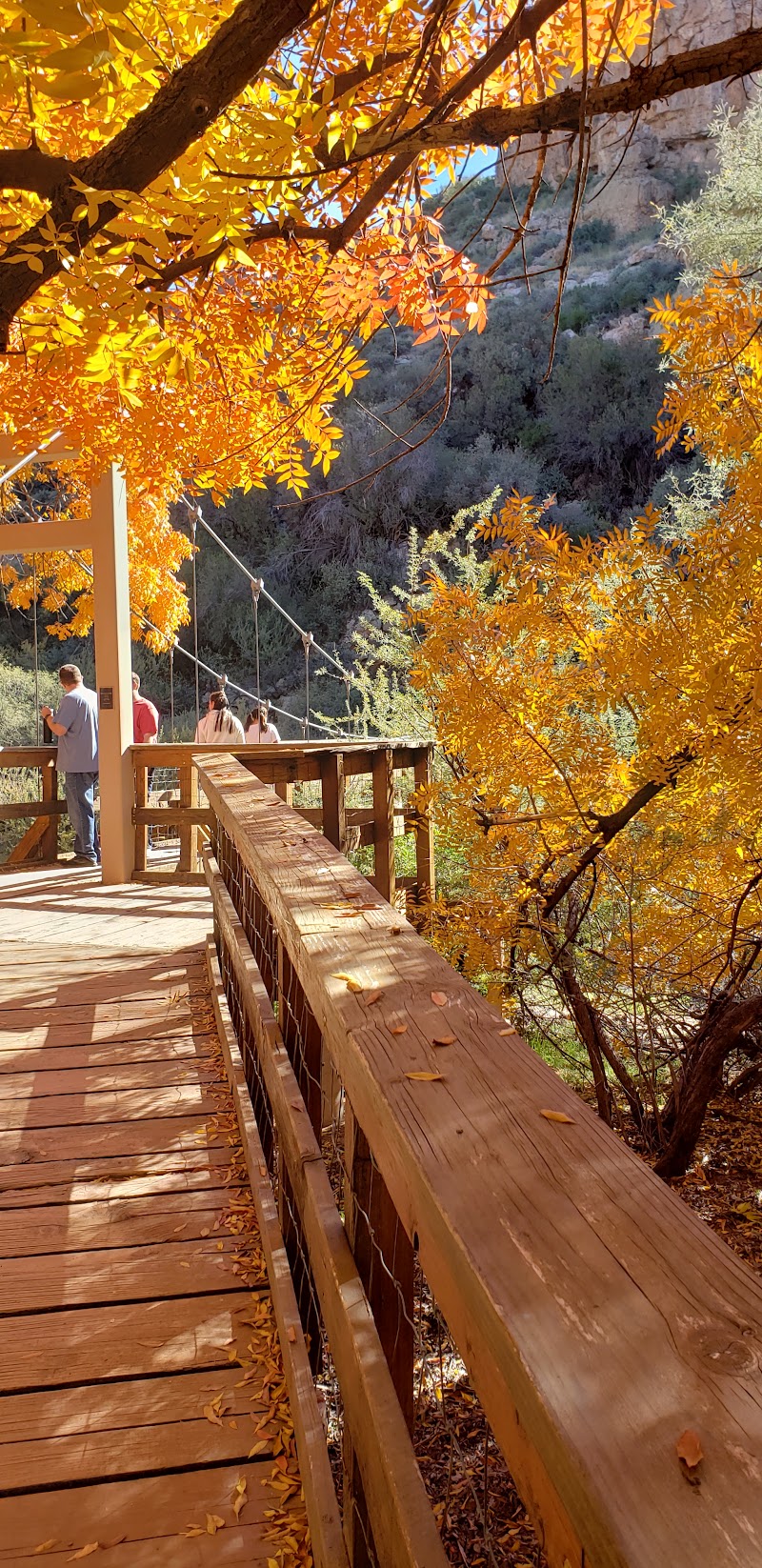Suspension Bridge photo 2