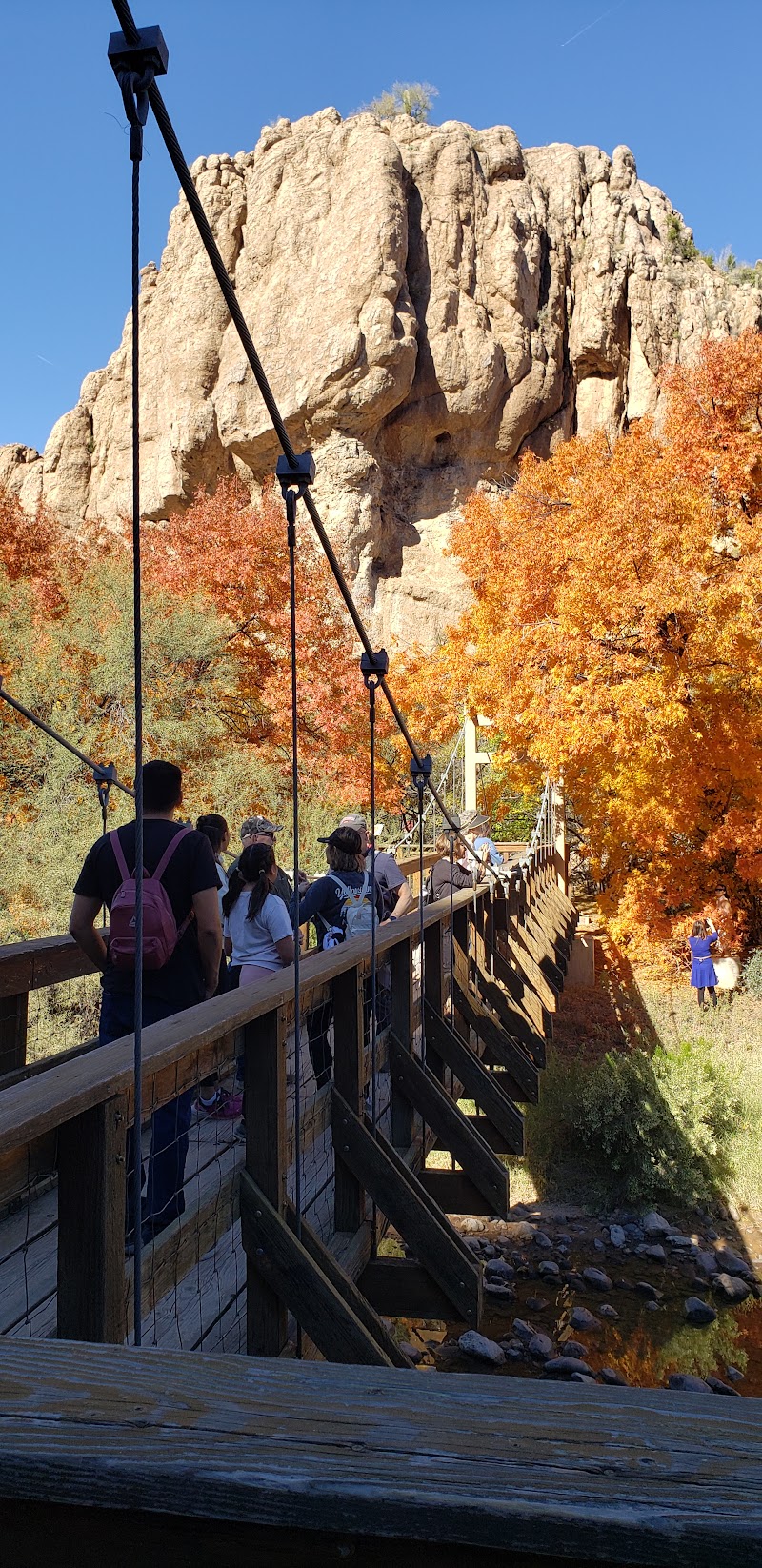 Suspension Bridge photo 5