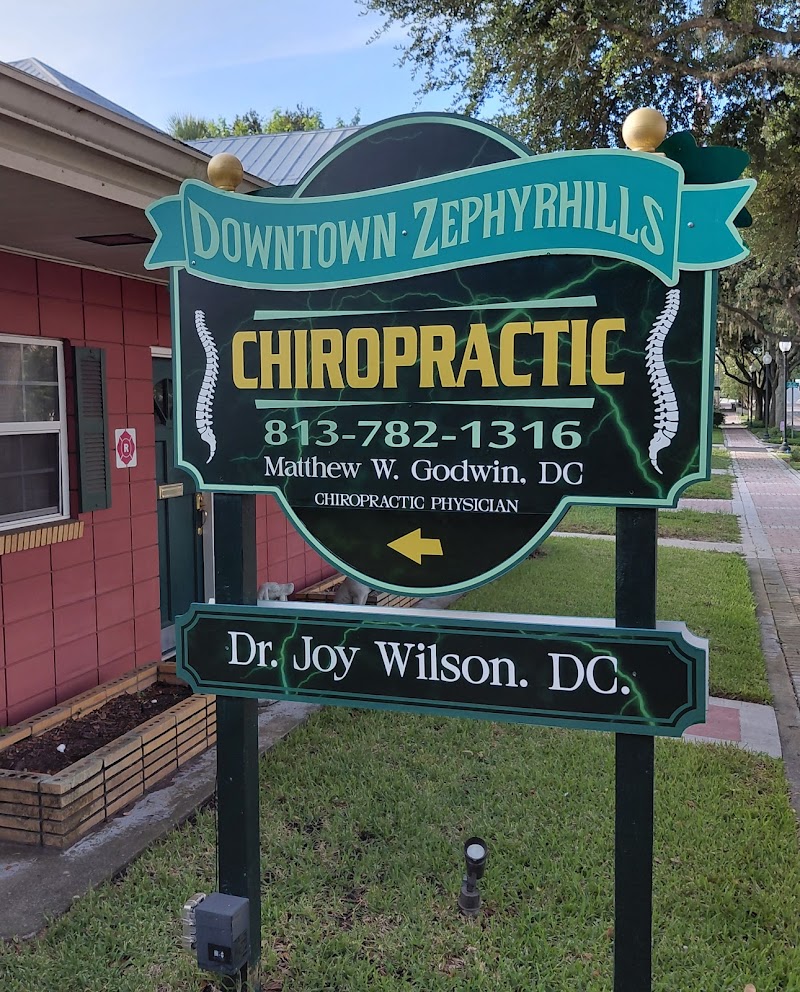 Downtown Zephyrhills Chiropractic – Dr. Matthew Godwin, DC photo 3