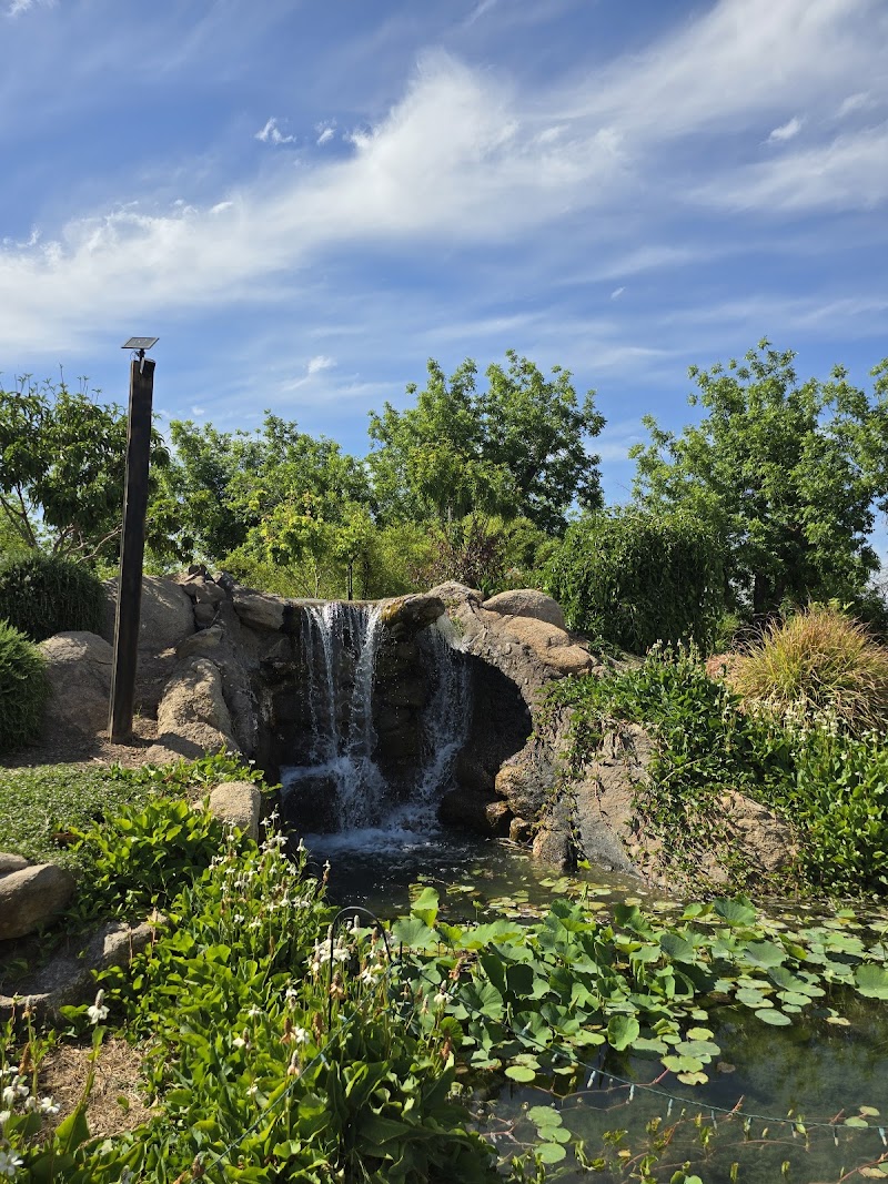 Queen Creek Botanical Gardens photo 4
