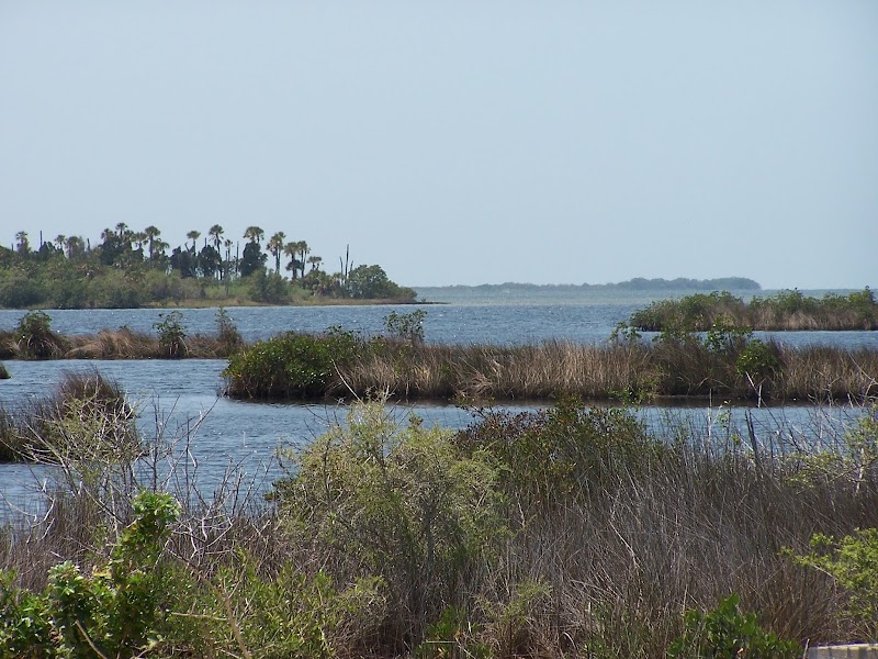 Photo of Tommie Dawson Realty