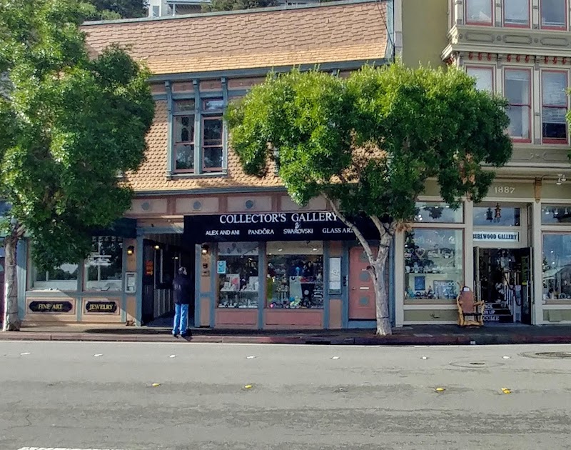 Photo of Collector's Gallery