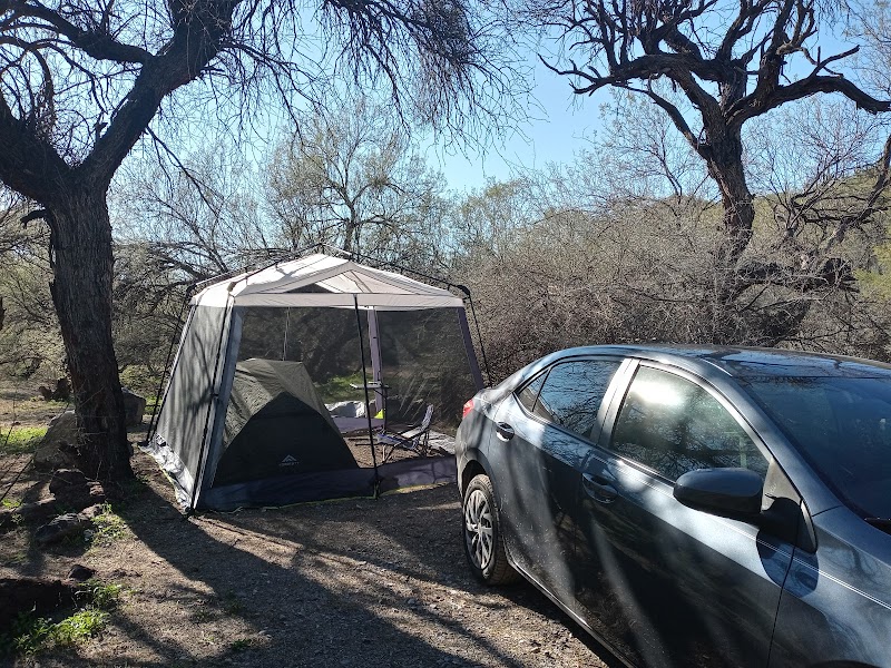 Shores Campground photo 4