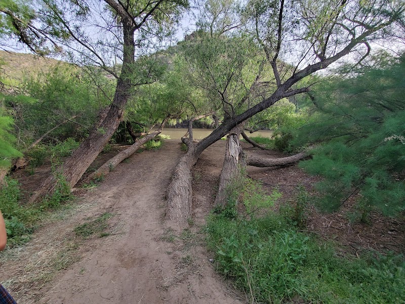 Shores Campground photo 5