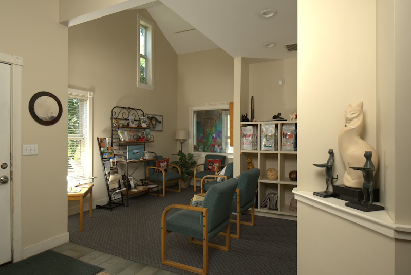 Benicia Cat Clinic photo 2