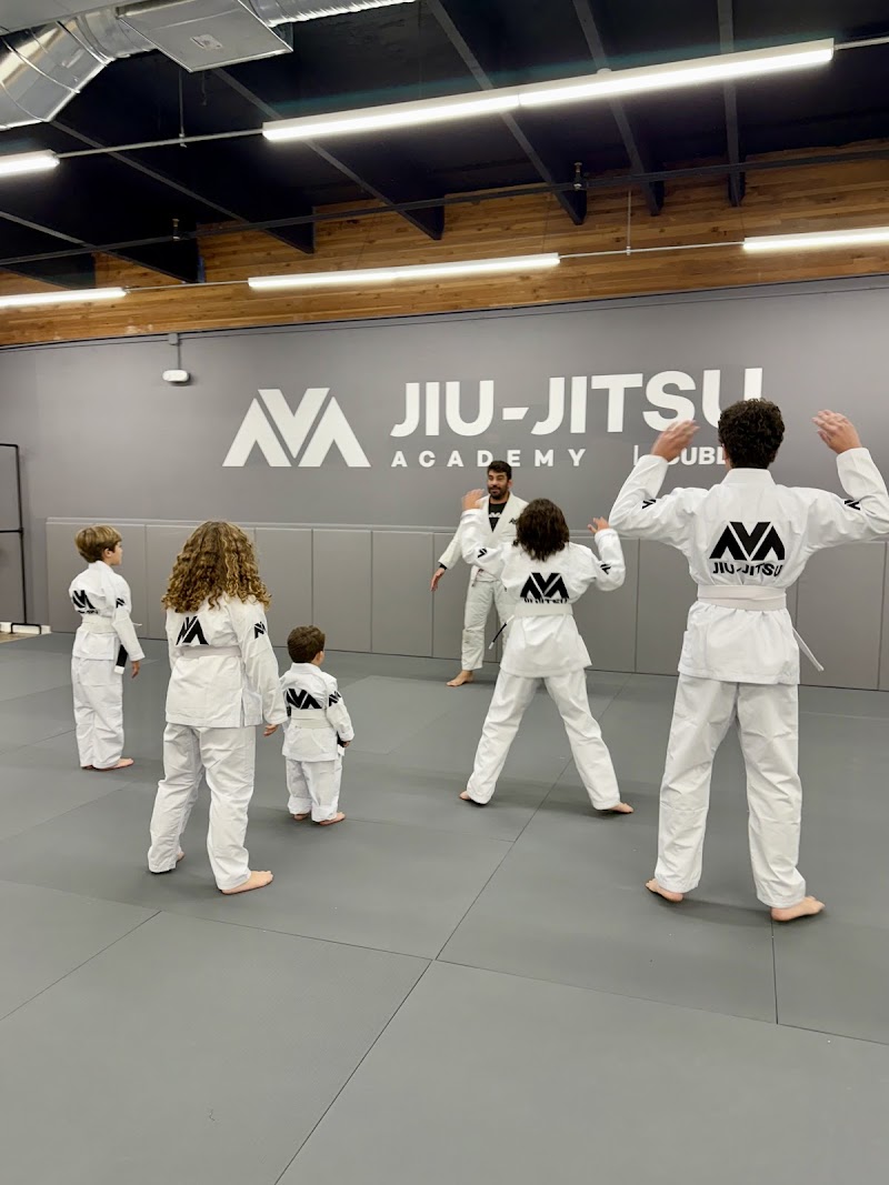 Photo of AVA JIU-JITSU ACADEMY