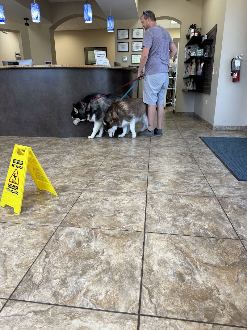 Valrico Animal Clinic photo 4