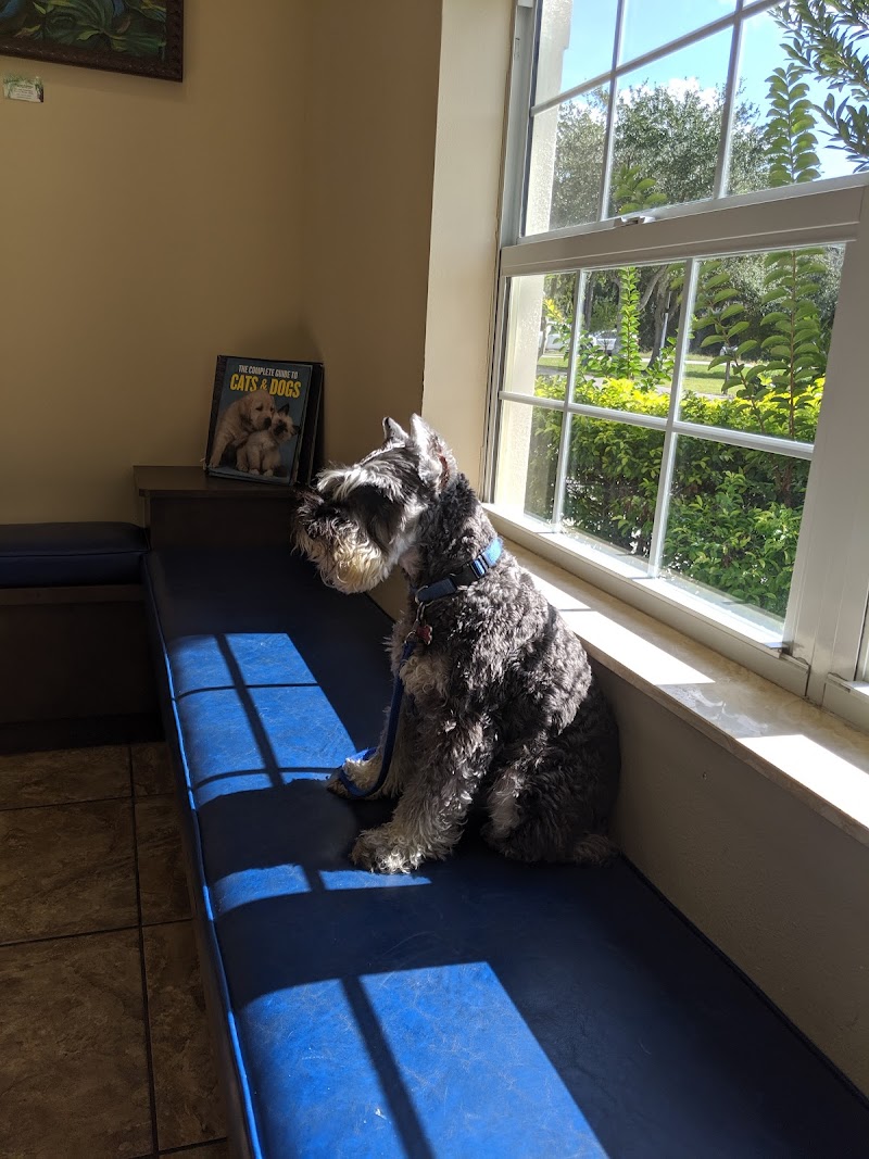 Photo of Valrico Animal Clinic