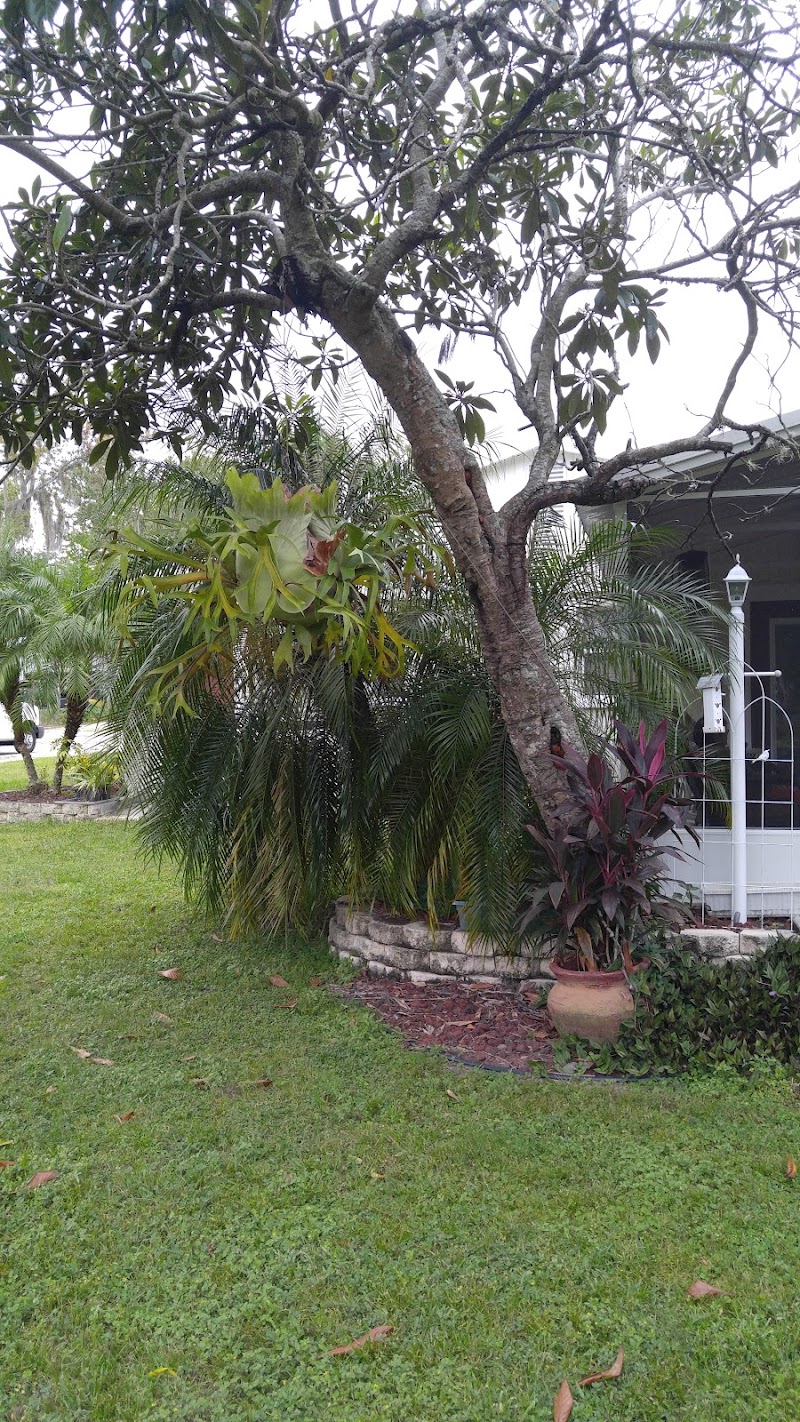 Cedar Key Aquaculture Farms photo 5