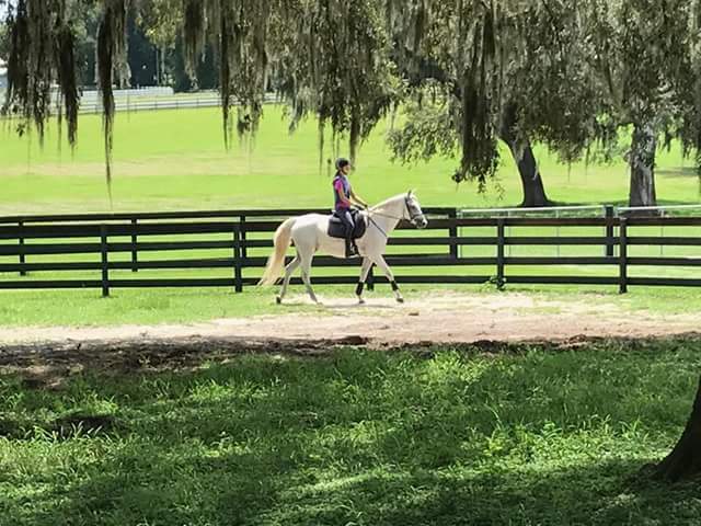 Richer Farm Inc. photo 2