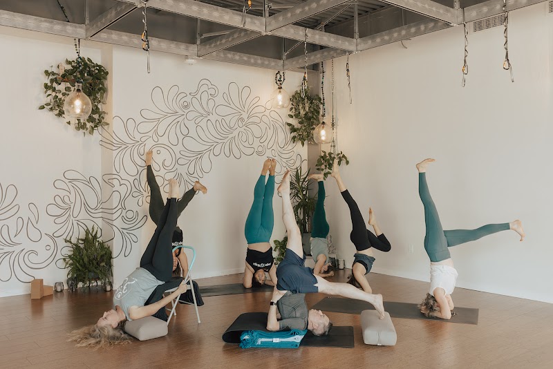 Photo of Raga Yoga