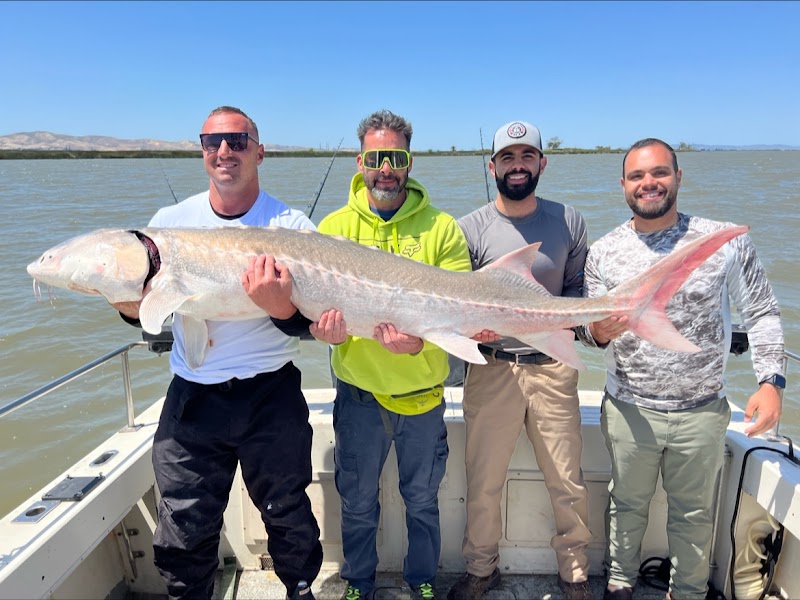 Legal Limit Sport Fishing photo 3