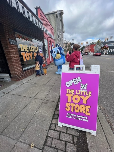 The Little Toy Store photo 3