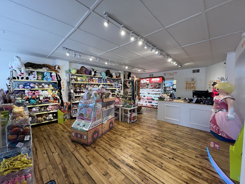 The Little Toy Store photo 2