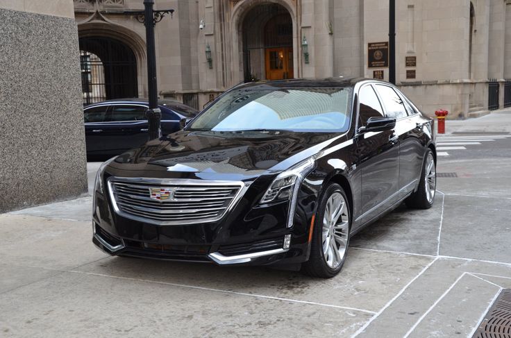 Tampa Luxury Car Services photo 3