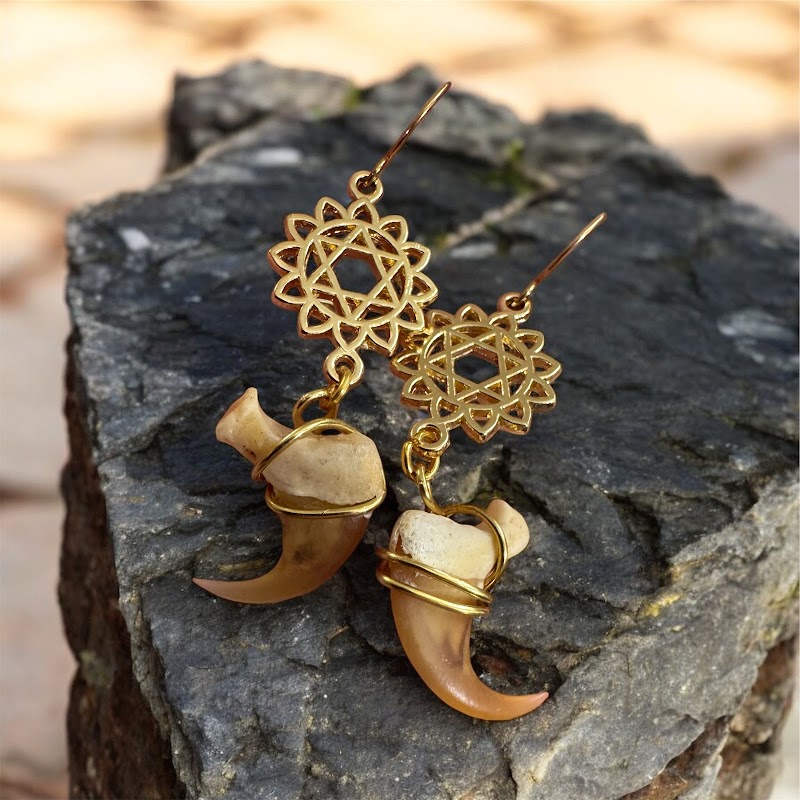 Woodland Wanderland photo 4