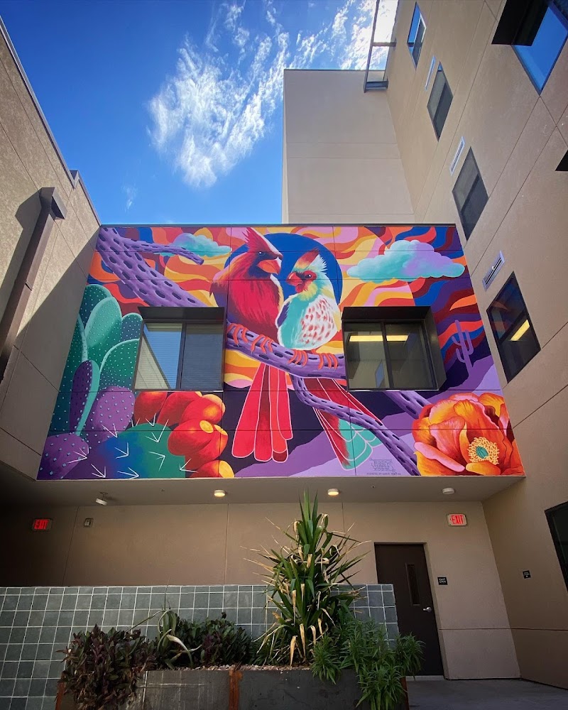 The Tucson Gallery photo 4