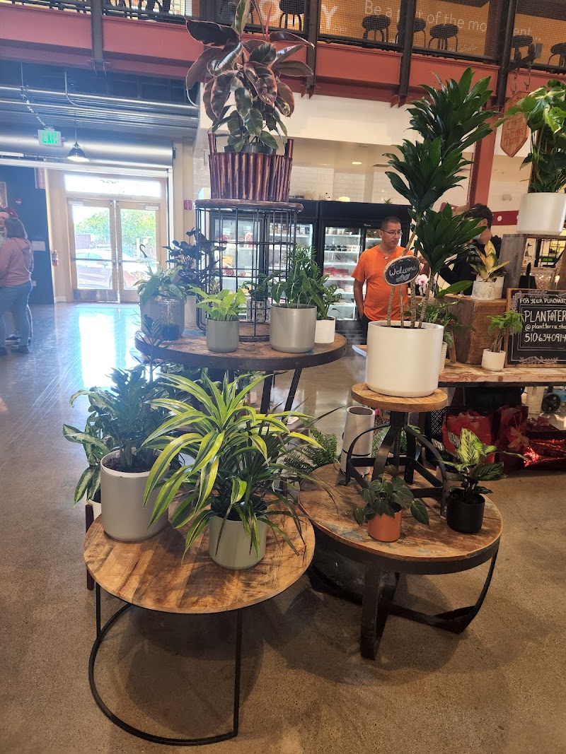 Castro Valley Natural Grocery photo 3