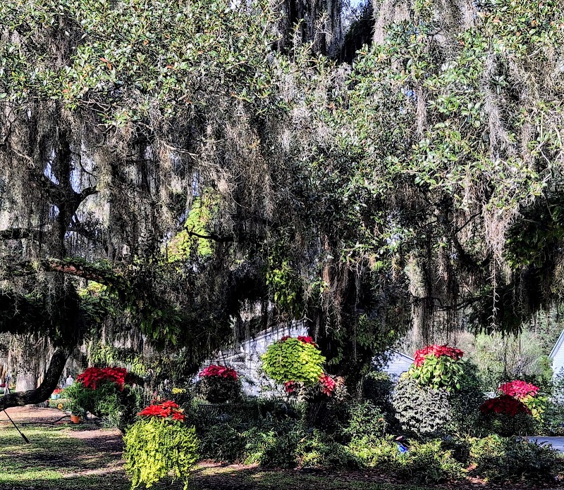Arid Garden photo 5