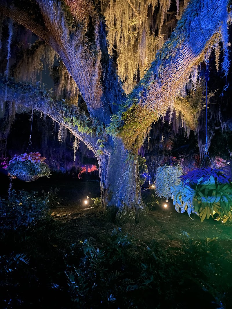 Arid Garden photo 2