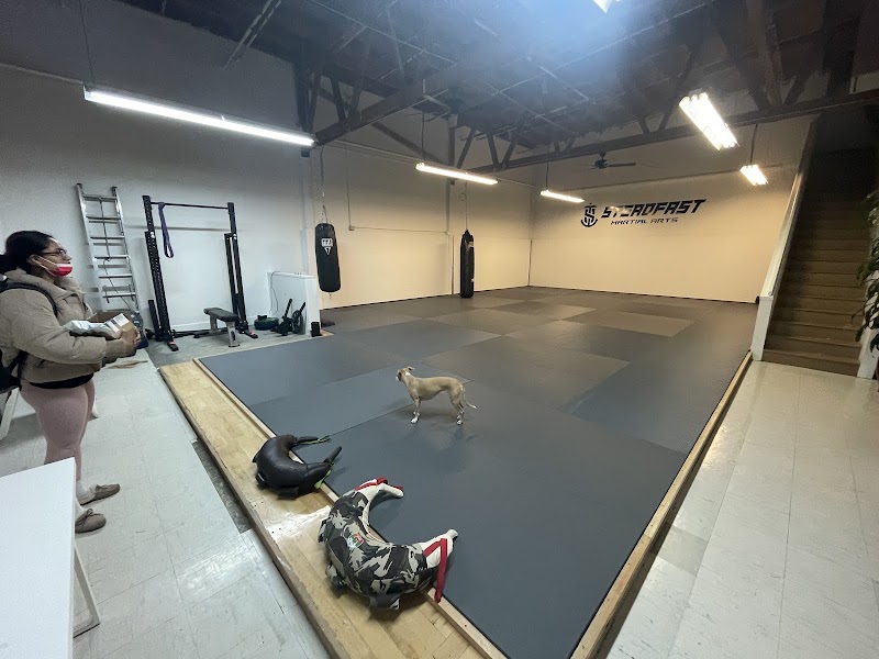 Steadfast Martial Arts photo 3