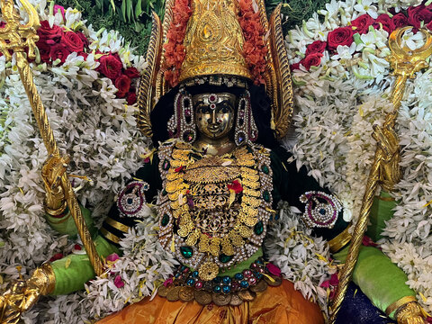 Pandit Raghav Psychic Reader LLC Indian astrologer photo 4