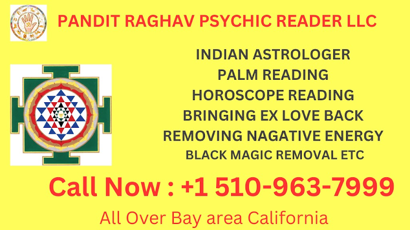 Pandit Raghav Psychic Reader LLC Indian astrologer photo 5