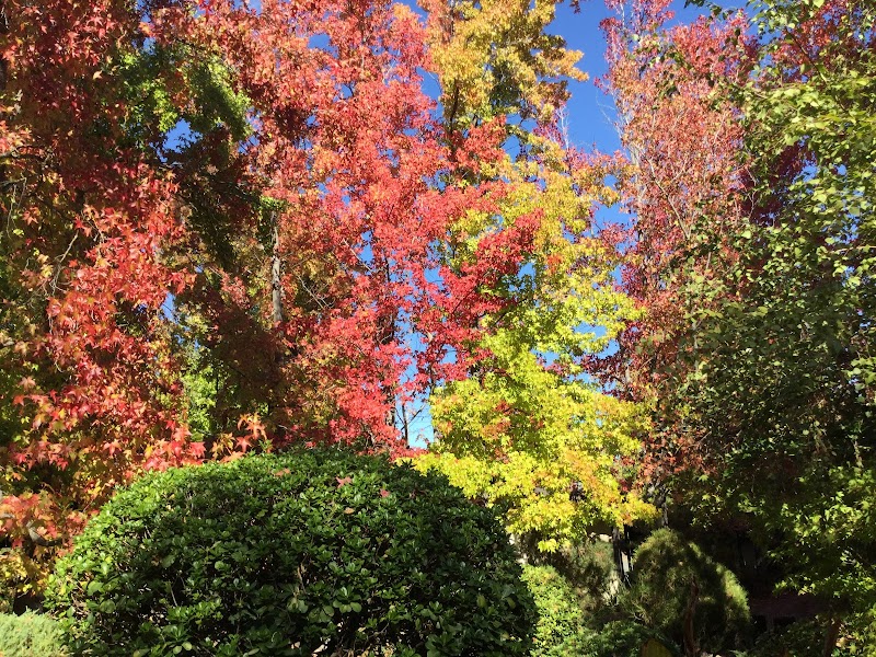 Brookview Park photo 5