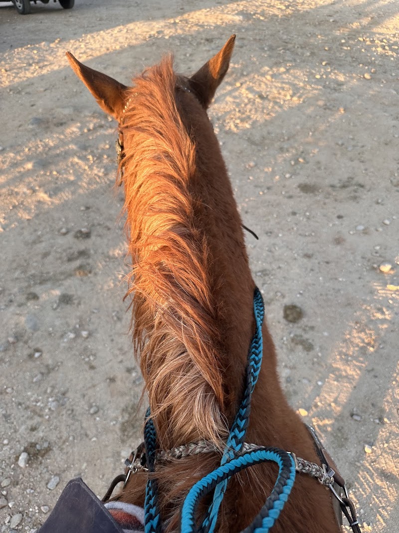 Catalina Riding Club photo 5