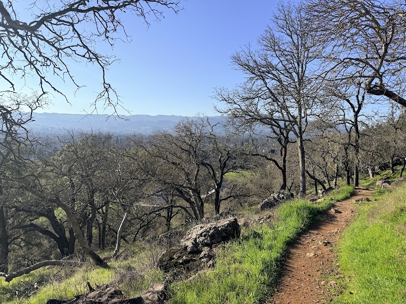 Montini Open Space Preserve photo 3