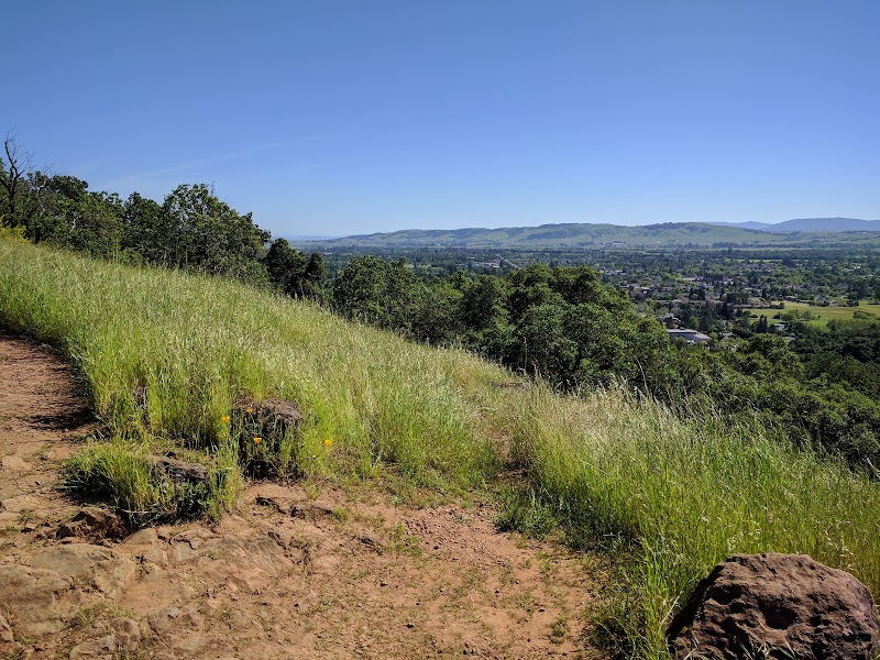 Montini Open Space Preserve photo 5