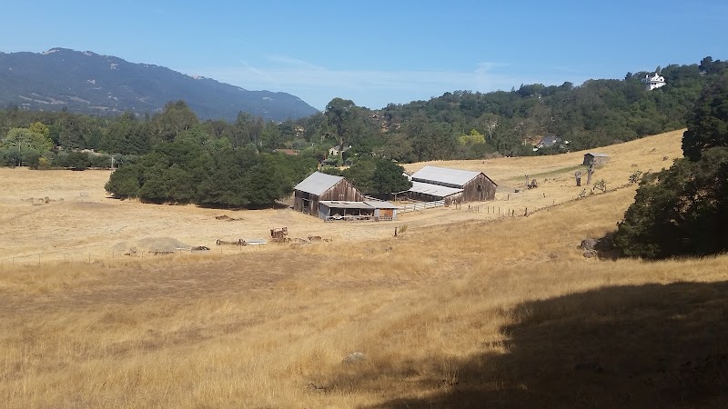 Montini Open Space Preserve photo 4