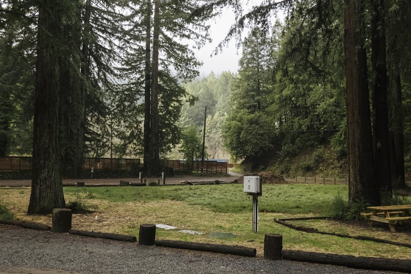 Redwood Village photo 5