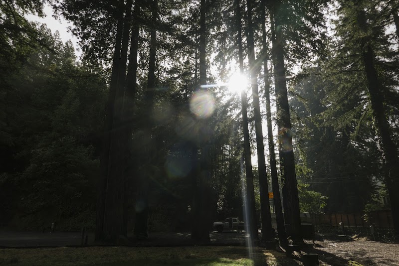 Redwood Village photo 4